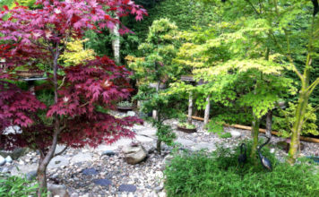 Il giardino roccioso 797 0 100 Il giardino roccioso